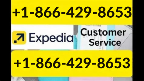 Your Complete Guide to Expedia® Customer Service || Numbers in the USA 24/7 help (Live Person)