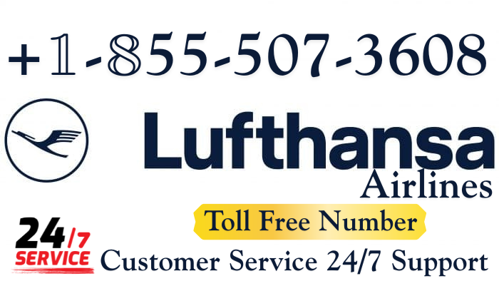 How to Contact PricelineÂ®â„¢ Customer Service: Official 24-7 Support Guide - YouTube